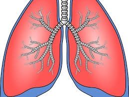 Riabilitazione respiratoria e osteopatia post-Covid19