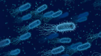 Il microbiota: un organo virtuale