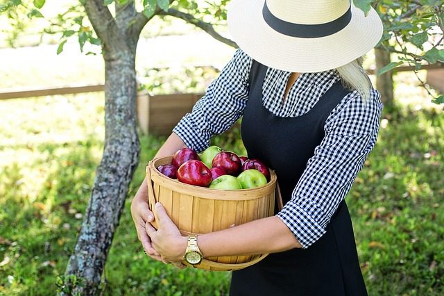 Riscoprire i vecchi sapori nel rispetto dell'ambiente