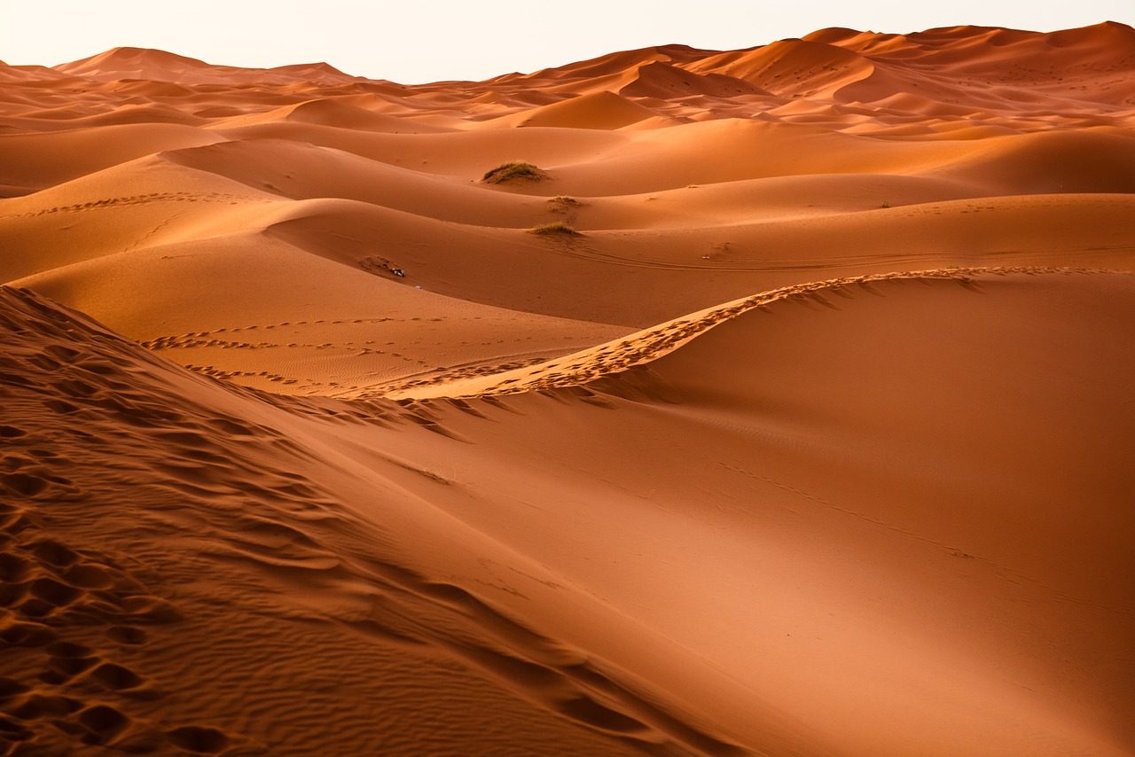 Anche dal deserto della pandemia si può rifiorire