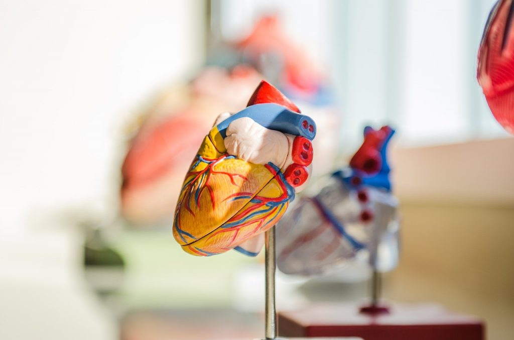 10 cose che non sai sul cuore delle donne