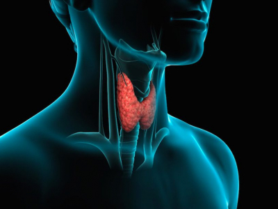 La tiroide e i possibili problemi agli occhi