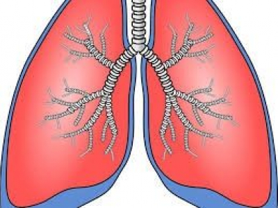 Riabilitazione respiratoria e osteopatia post-Covid19